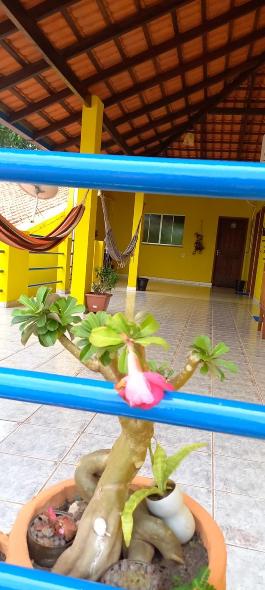 Casa Da Vila - Hospedaria - 3 Min Do Centrinho De Alter Alter do Chão Exteriér fotografie